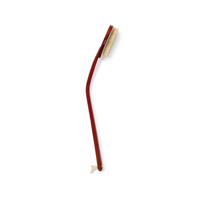 Long Handled Shower Brush
